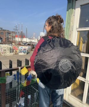Alternative view of Raincover - Handpantas Regen Hoes
